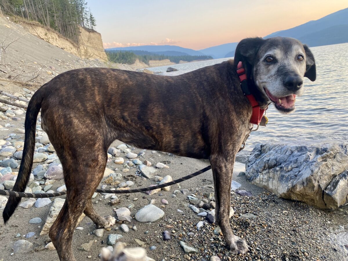 Roadtrip to Alaska part 2